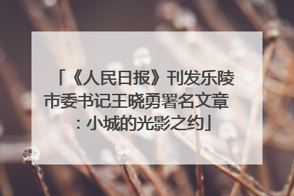 《人民日报》刊发乐陵市委书记王晓勇署名文章：小城的光影之约