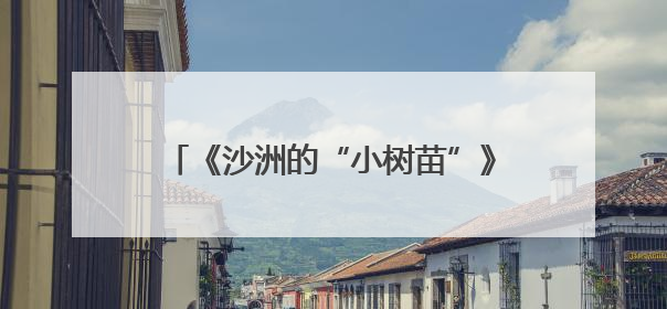 《沙洲的“小树苗”》新书首发式：让红色文化在新时代少年心中绽放