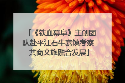 《铁血幕阜》主创团队赴平江石牛寨镇考察 共商文旅融合发展