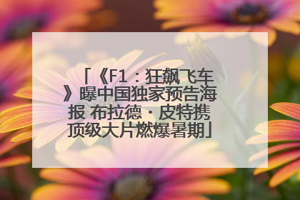 《F1：狂飙飞车》曝中国独家预告海报 布拉德・皮特携顶级大片燃爆暑期