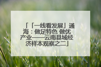 「一线看发展」通海：做足特色 做优产业——云南县域经济样本观察之二
