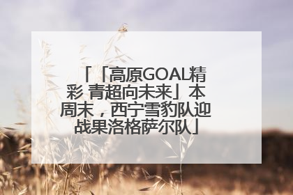 「高原GOAL精彩 青超向未来」本周末，西宁雪豹队迎战果洛格萨尔队