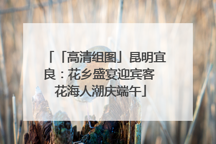 「高清组图」昆明宜良：花乡盛宴迎宾客 花海人潮庆端午