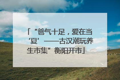 “爸气十足，爱在当‘夏’——古汉潮玩养生市集”衡阳开市