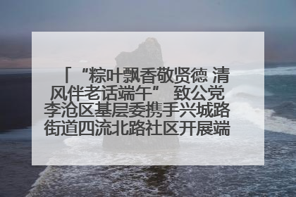 “粽叶飘香敬贤德 清风伴老话端午” 致公党李沧区基层委携手兴城路街道四流北路社区开展端午节主题活动