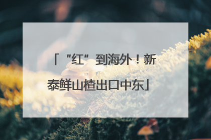 “红”到海外！新泰鲜山楂出口中东