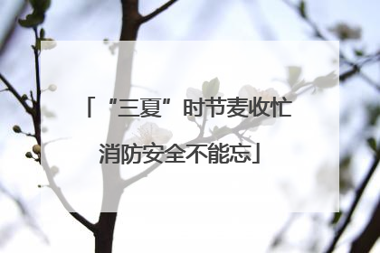 “三夏”时节麦收忙 消防安全不能忘