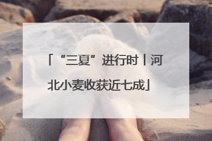 “三夏”进行时丨河北小麦收获近七成