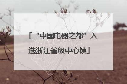 “中国电器之都”入选浙江省级中心镇