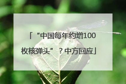“中国每年约增100枚核弹头”？中方回应