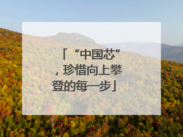 “中国芯”，珍惜向上攀登的每一步