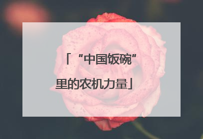 “中国饭碗”里的农机力量