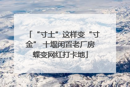“寸土”这样变“寸金” 十堰闲置老厂房蝶变网红打卡地