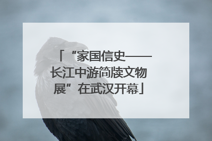 “家国信史——长江中游简牍文物展”在武汉开幕