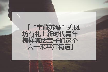 “宝藏苏城”碧凤坊有礼！新时代青年榜样喊话宝子们这个六一来平江街道