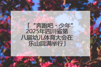 “奔跑吧・少年”2025年四川省第八届幼儿体育大会在乐山圆满举行