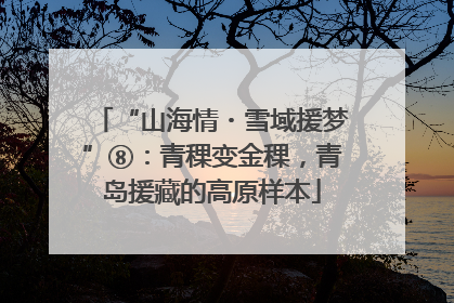 “山海情・雪域援梦”⑧：青稞变金稞，青岛援藏的高原样本