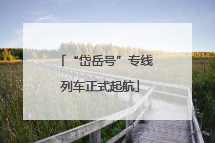 “岱岳号”专线列车正式起航