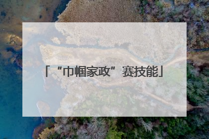 “巾帼家政”赛技能