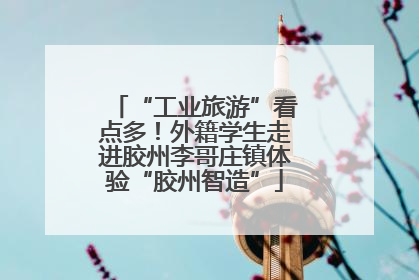 “工业旅游”看点多！外籍学生走进胶州李哥庄镇体验“胶州智造”
