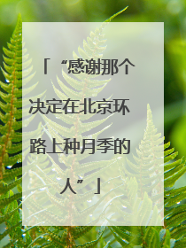 “感谢那个决定在北京环路上种月季的人”
