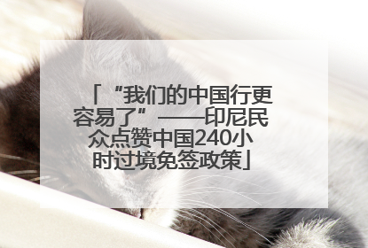 “我们的中国行更容易了”——印尼民众点赞中国240小时过境免签政策