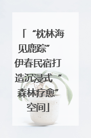 “枕林海见鹿踪” 伊春民宿打造沉浸式“森林疗愈”空间