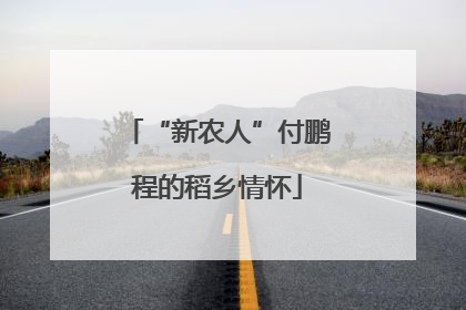 “新农人”付鹏程的稻乡情怀