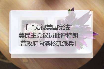 “无视美国宪法” 美民主党议员批评特朗普政府向洛杉矶派兵
