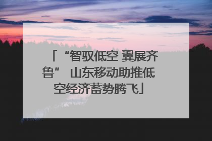 “智驭低空 翼展齐鲁” 山东移动助推低空经济蓄势腾飞