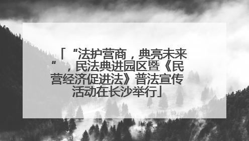 “法护营商，典亮未来”，民法典进园区暨《民营经济促进法》普法宣传活动在长沙举行