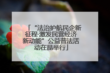 “法治护航民企新征程·激发民营经济新动能”公益普法活动在昆举行