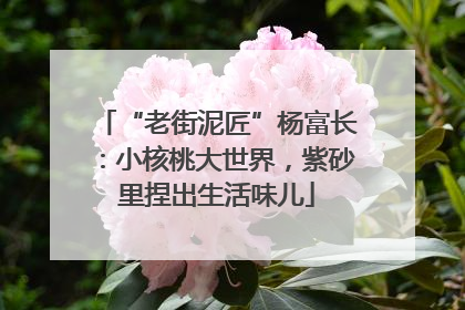 “老街泥匠”杨富长：小核桃大世界，紫砂里捏出生活味儿