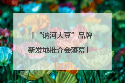 “讷河大豆”品牌新发地推介会落幕