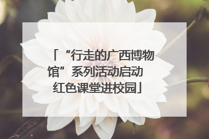 “行走的广西博物馆”系列活动启动 红色课堂进校园