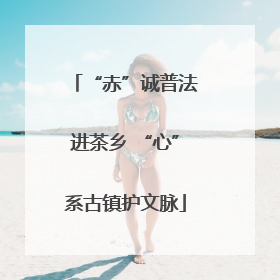 “赤”诚普法进茶乡 “心”系古镇护文脉