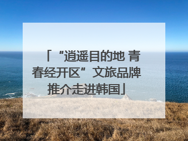 “逍遥目的地 青春经开区”文旅品牌推介走进韩国
