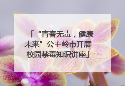“青春无毒，健康未来”公主岭市开展校园禁毒知识讲座