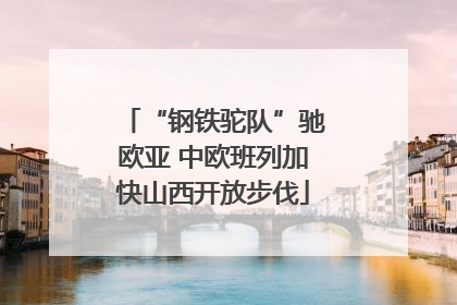 “钢铁驼队”驰欧亚 中欧班列加快山西开放步伐
