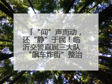 “闻”声而动，还“静”于民！临沂交警直属三大队“飙车炸街”整治进行中！