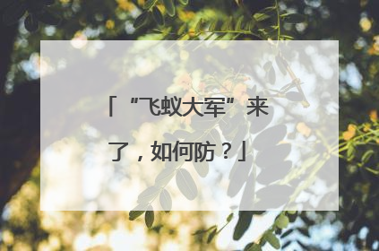 “飞蚁大军”来了，如何防？