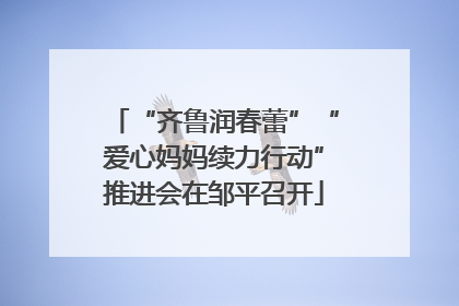 “齐鲁润春蕾”“爱心妈妈续力行动”推进会在邹平召开