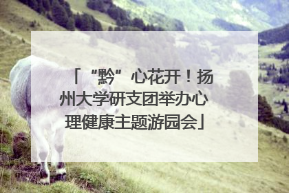 “黔”心花开！扬州大学研支团举办心理健康主题游园会