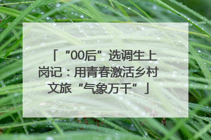 “00后”选调生上岗记：用青春激活乡村文旅“气象万千”