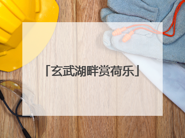 玄武湖畔赏荷乐