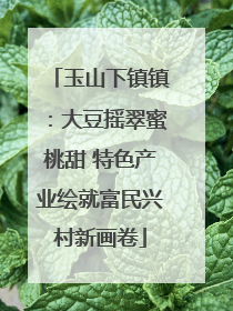 玉山下镇镇：大豆摇翠蜜桃甜 特色产业绘就富民兴村新画卷