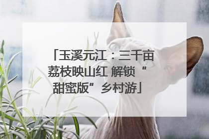 玉溪元江：三千亩荔枝映山红 解锁“甜蜜版”乡村游