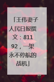王伟妻子人民日报撰文：81192，一架永不停航的战机