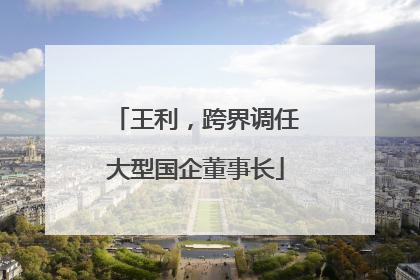 王利，跨界调任大型国企董事长