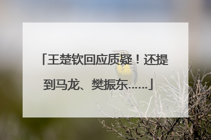 王楚钦回应质疑！还提到马龙、樊振东……